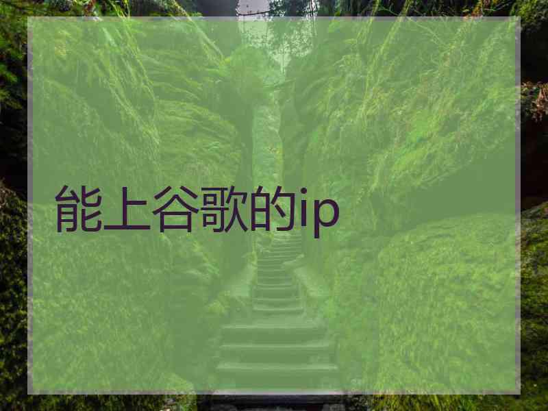 能上谷歌的ip 能上谷歌的ip